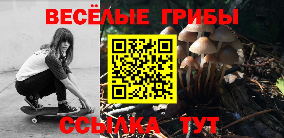 Псилоцибиновые грибы Magic Shrooms Назрань