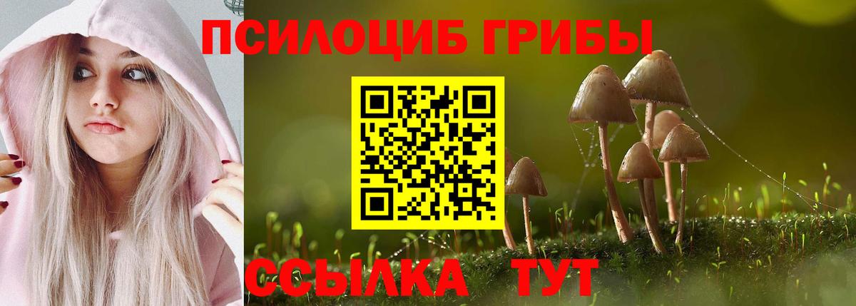Галлюциногенные грибы ЛСД  Галлюциногенные грибы Cubensis  Вход с VPN  Назрань 